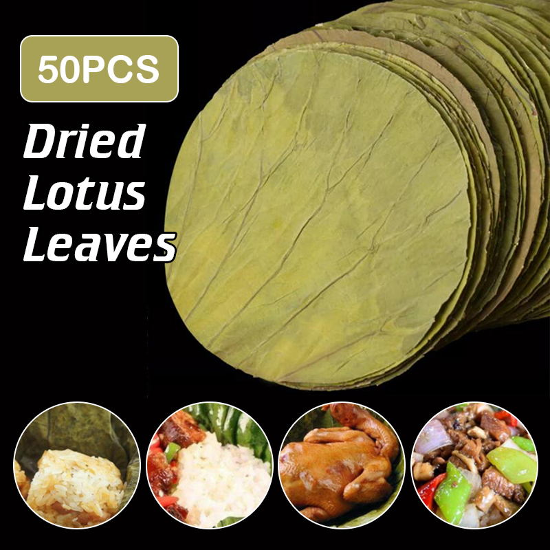 50Pcs 22cm Big Natural Dried L - Home Cooking Recipes ulasan dan harga
