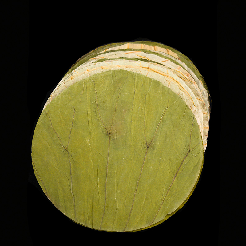 50Pcs 22cm Big Natural Dried L - Home Cooking Recipes ulasan dan harga